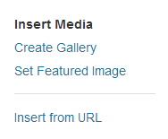 Insert from URL screenshot