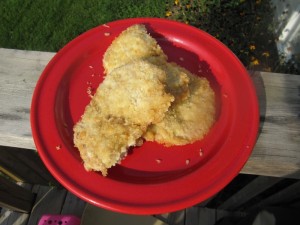 Pork Schnitzel