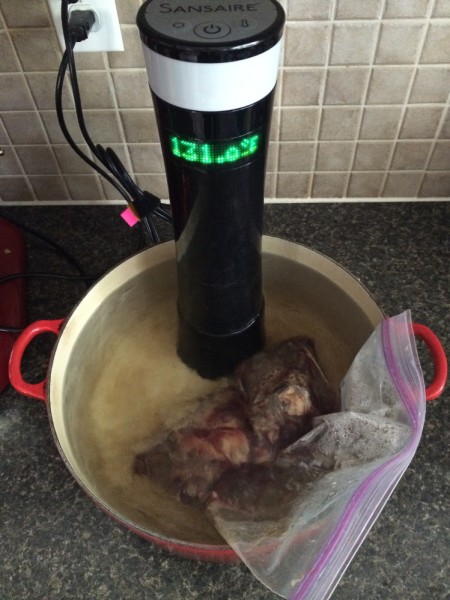 Sansaire Sous Vide Cooking